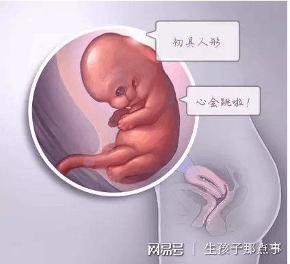 代怀选性别包生男孩